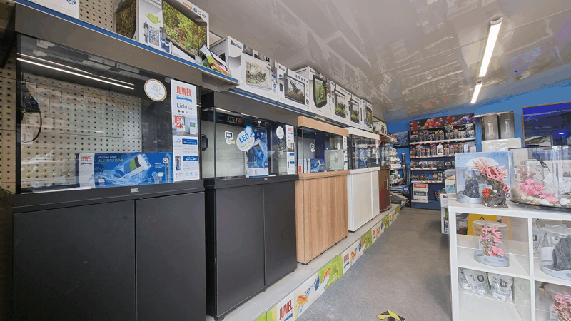 A Picture Of Fathoms Aquatics' Aquarium Show Room